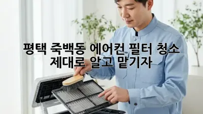 평택 죽백동 에어컨 필터 청소, 제대로 알고 맡기자!